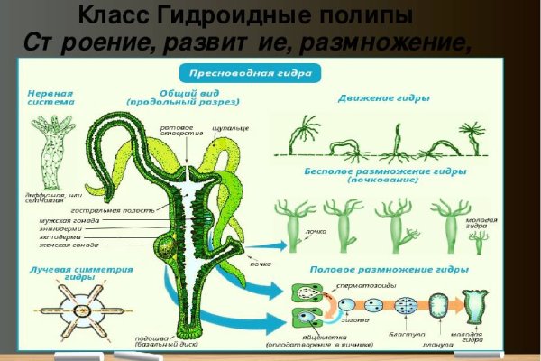 Кракен дарк ссылка