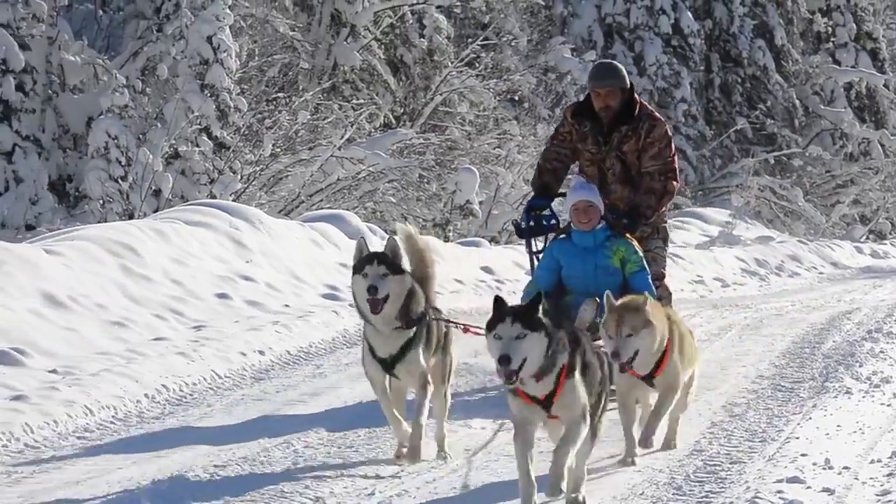 Кракен ссылка vtor