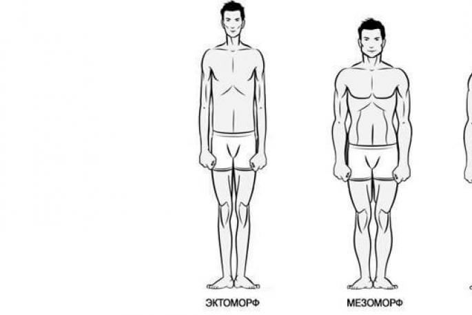 От эктоморфа к мезоморфу: эволюция в наборе веса