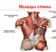 Разрыв сухожилия подлопаточной мышцы